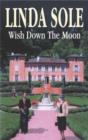 Image for Wish Down the Moon