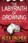 Image for The Labyrinth of Drowning
