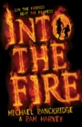 Image for Into the Fire.