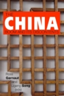 Image for China Boom and its Discontents
