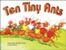 Image for Ten Tiny Ants