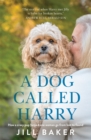 Image for A dog called Harry