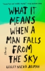 Image for What It Means When a Man Falls from the Sky: Stories