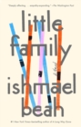 Image for Little family  : a novel