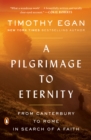 Image for A pilgrimage to eternity: from Canterbury to Rome in search of a faith