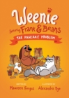 Image for The Pancake Problem (weenie Featuring Frank And Beans Book #2)