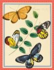 Image for Asian Butterflies Keepsake Box