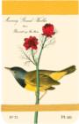 Image for Audubon Warblers Mini Journal