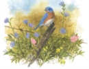 Image for Four Seasons of Birds Keepsake Box