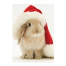 Image for Santa Bunny Notecards