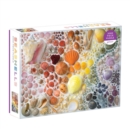 Image for Rainbow Seashells 2000 Piece Puzzle
