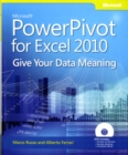 Image for Microsoft PowerPivot for Excel 2010  : give your data meaning