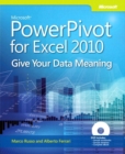Image for Microsoft PowerPivot for Excel 2010: give your data meaning