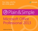 Image for Microsoft Office Professional 2013 plain &amp; simple