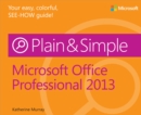 Image for Microsoft Office Professional 2013 Plain &amp; Simple