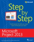 Image for Microsoft Project 2013