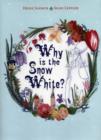 Image for Why is the snow white?