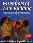 Image for Essentials of team building  : principles and practices
