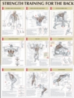 Image for Strength Training for the Back