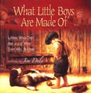 Image for What Little Boys Are Made Of : Loving Who They Are and Who They Will Become