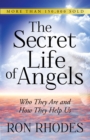 Image for The secret life of angels