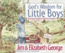 Image for God&#39;s wisdom for little boys