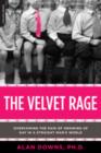 Image for The velvet rage: how growing up gay in a straight man&#39;s world can lead to destructive anger, or a creative edge