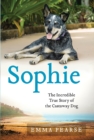 Image for Sophie: The Incredible True Story of the Castaway Dog