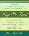 Image for Why we hurt  : a complete physical &amp; spiritual guide to healing your chronic pain