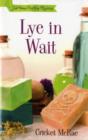 Image for Lye in wait  : a home crafting mystery