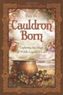 Image for From the cauldron born  : exploring the magic of Welsh legend and lore