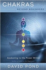 Image for Chakras beyond beginners  : awakening to the power within