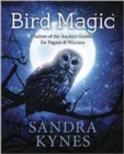 Image for Bird magic  : wisdom of the ancient goddess for pagans and wiccans