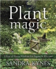 Image for Plant magic  : a year of green wisdom for pagans &amp; Wiccans