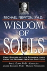 Image for Wisdom of Souls : Case Studies of Life Between Lives from the Michael Newton Institute