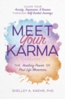 Image for Meet Your Karma