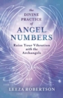 Image for The divine practice of angel numbers  : raise your vibration with the archangels