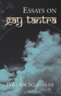 Image for Essays on Gay Tantra