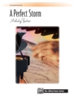 Image for PERFECT STORM A 1 PIANO 4 HANDS