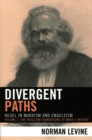 Image for Divergent Paths : Hegel in Marxism and Engelsism