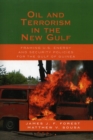 Image for Oil and Terrorism in the New Gulf : Framing U.S. Energy and Security Policies for the Gulf of Guinea