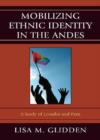 Image for Mobilizing Ethnic Identities in the Andes