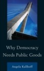 Image for Why Democracy Needs Public Goods