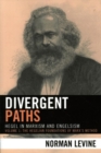 Image for Divergent Paths: Hegel in Marxism and Engelsism
