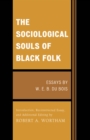 Image for The sociological souls of Black folk