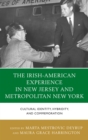 Image for The Irish experience in New Jersey and metropolitan New York: cultural identity, hybridity, and commemoration