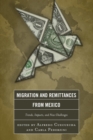Image for Migration and remittances from Mexico  : trends, impacts, and new challenges