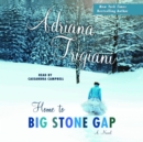 Image for Home to Big Stone Gap: A Novel