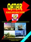 Image for Qatar Business Intelligence Report