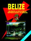 Image for Belise Business and Investment Opportunities Yearbook